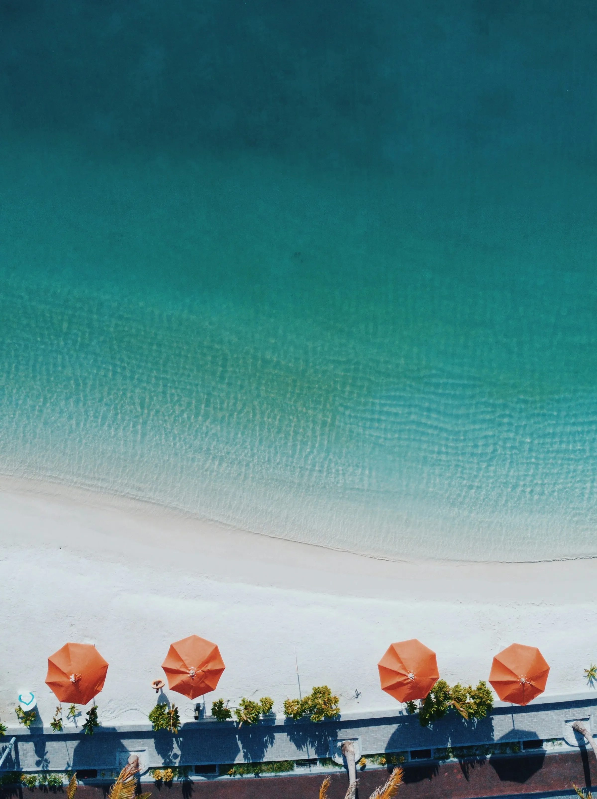 Logiciel de réservation beach club : le guide complet 2026